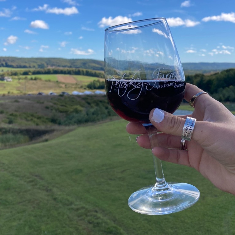 Two glasses of wine with the landscape in the background.